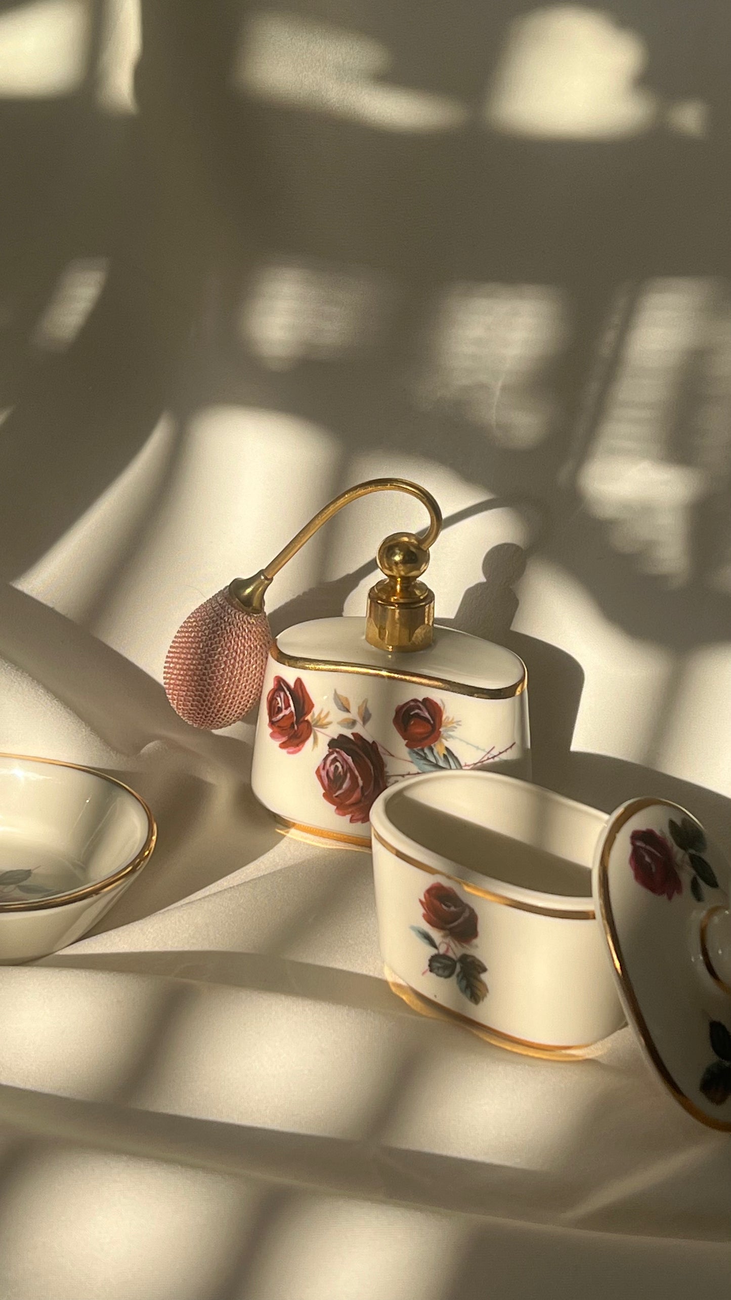 European toilette | טואלט אירופאי