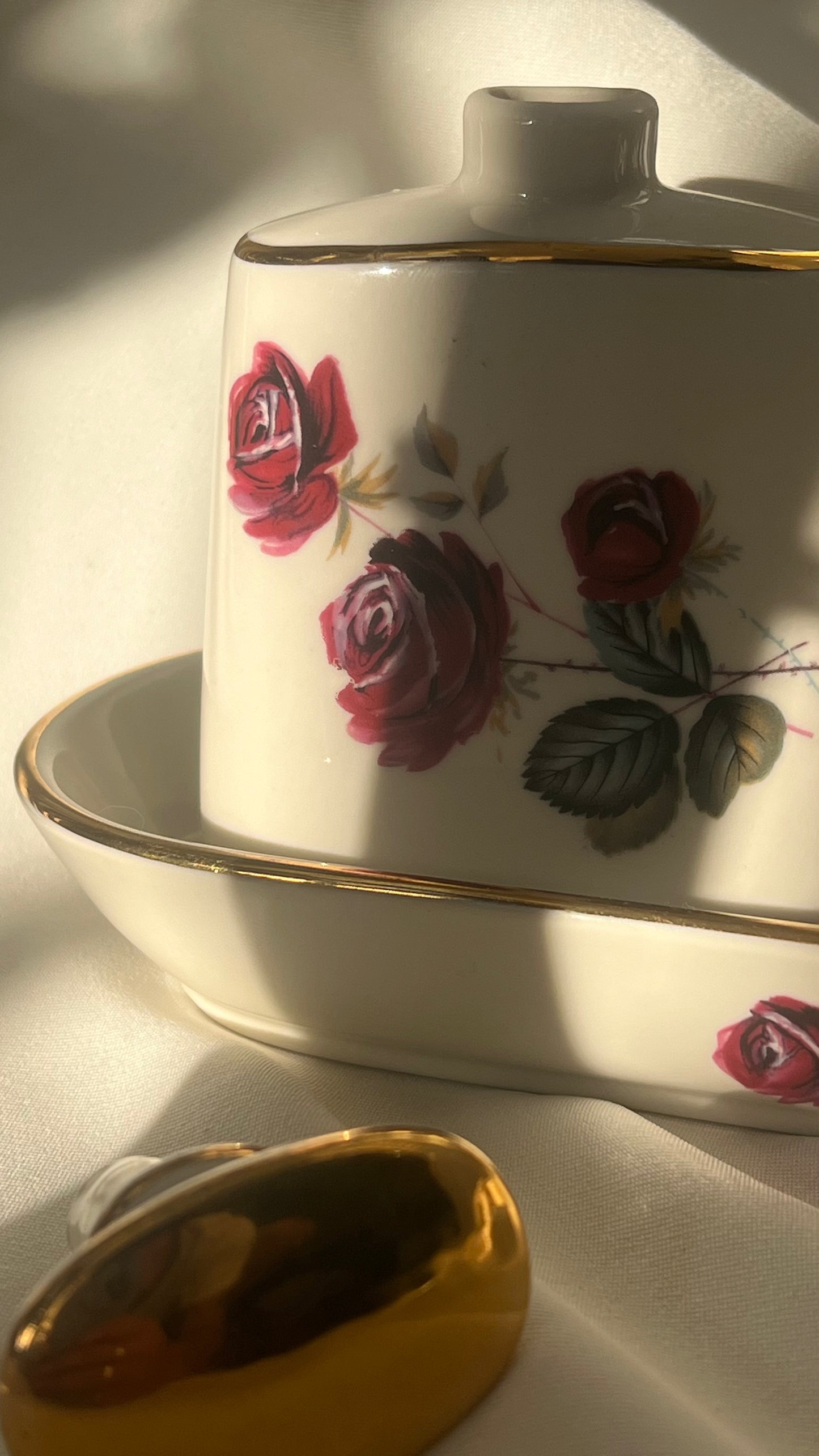 European toilette | טואלט אירופאי