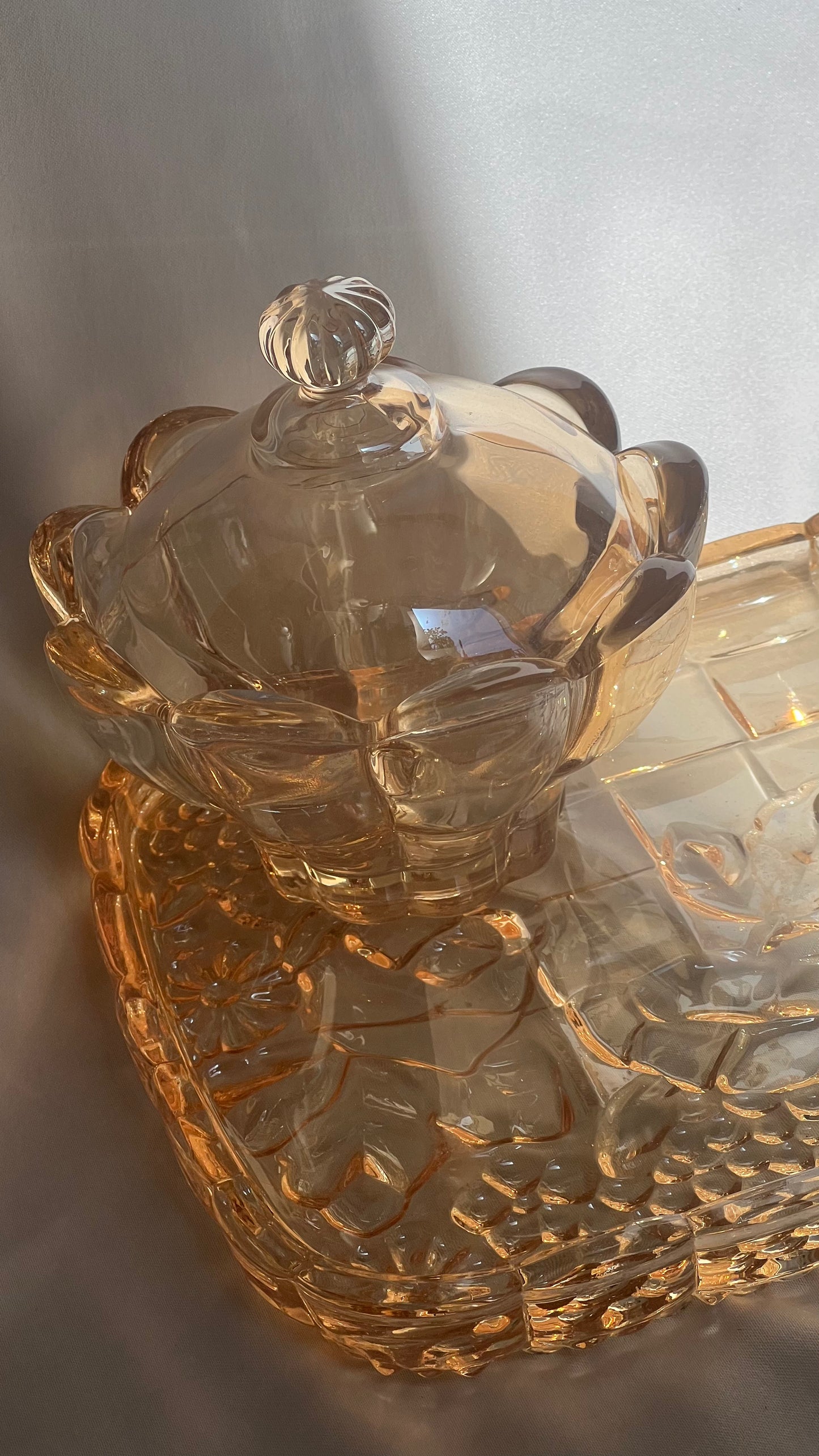 Pink Lady | פינק ליידי