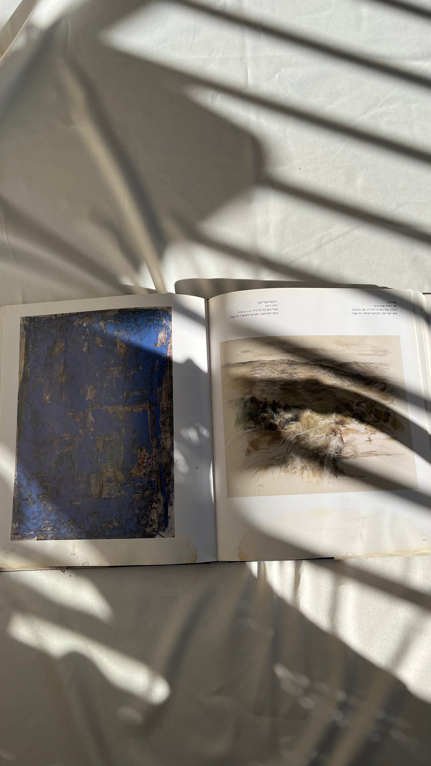 Israeli art book | ספר אמנות ישראלי