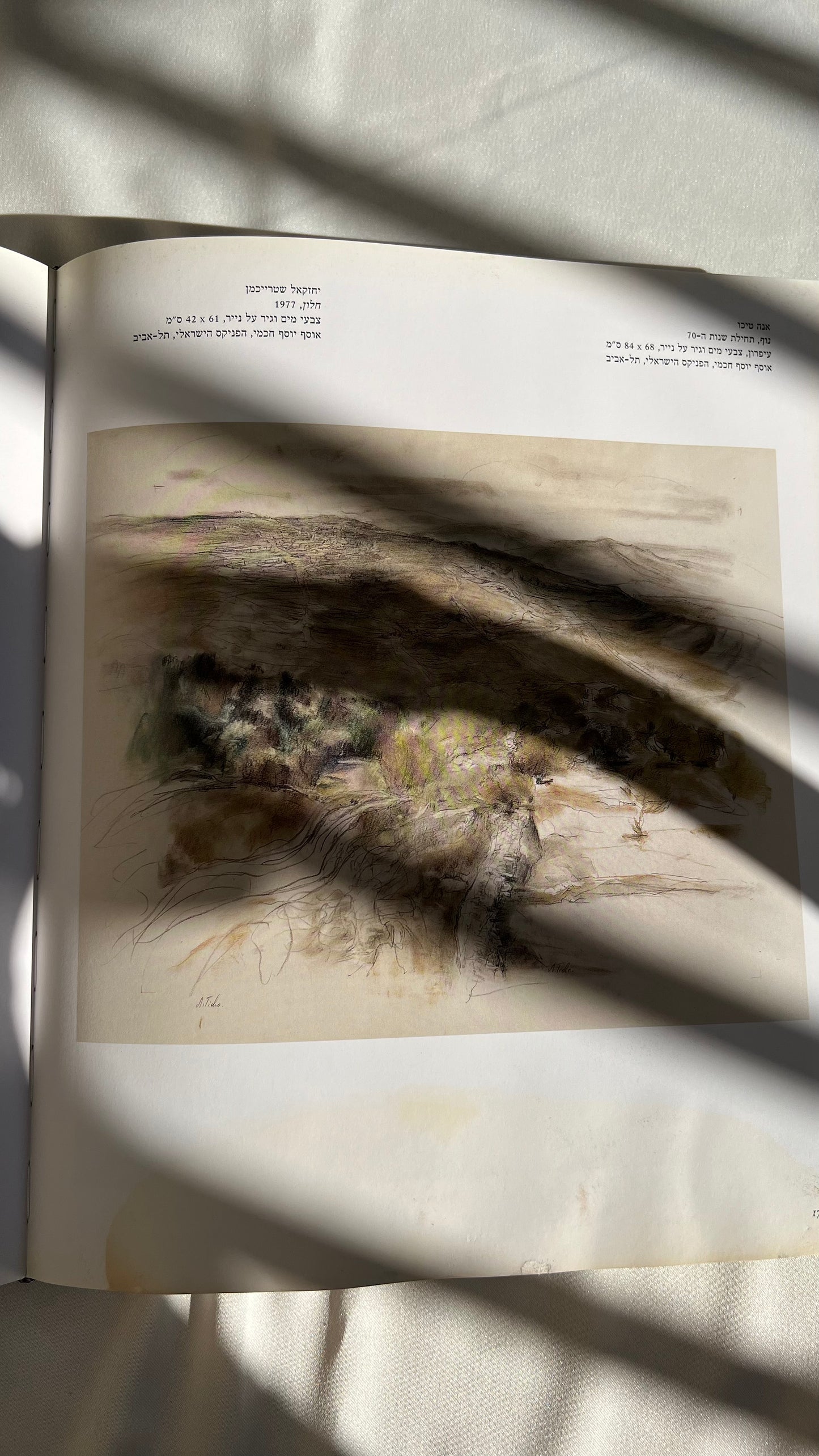 Israeli art book | ספר אמנות ישראלי