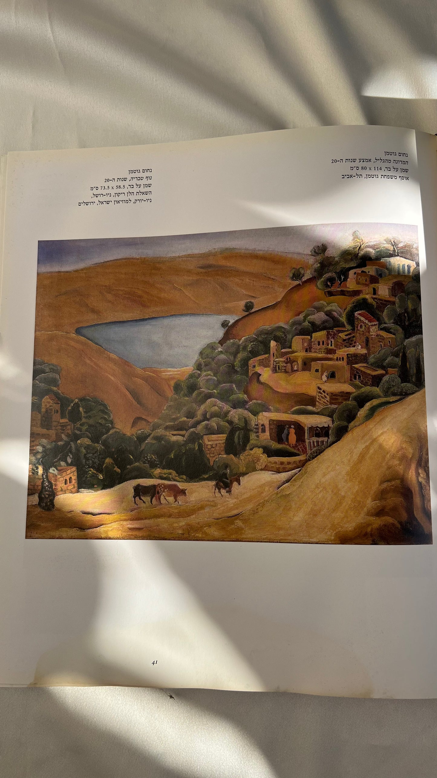 Israeli art book | ספר אמנות ישראלי