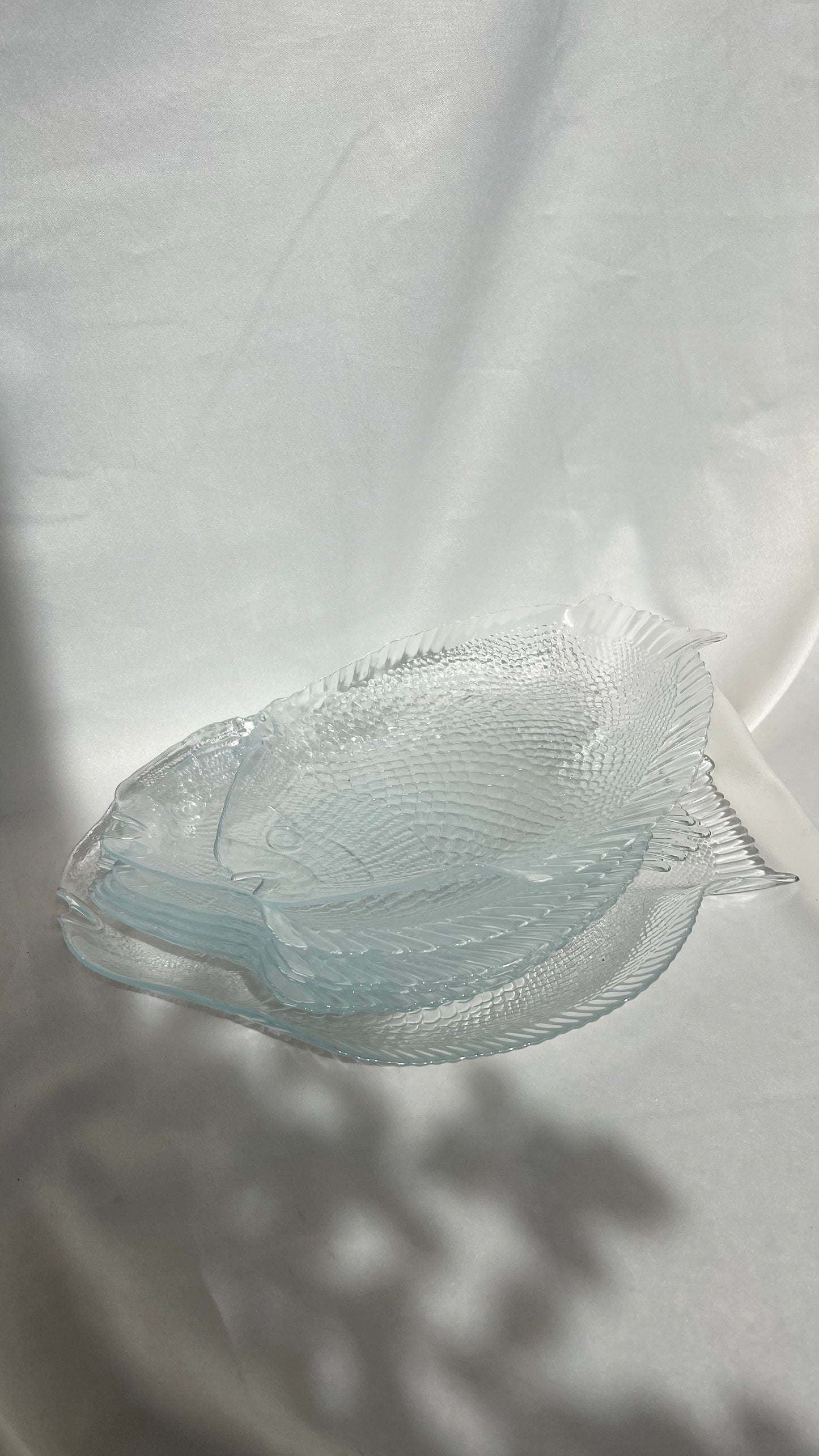 Main plates | צלחות עיקריות