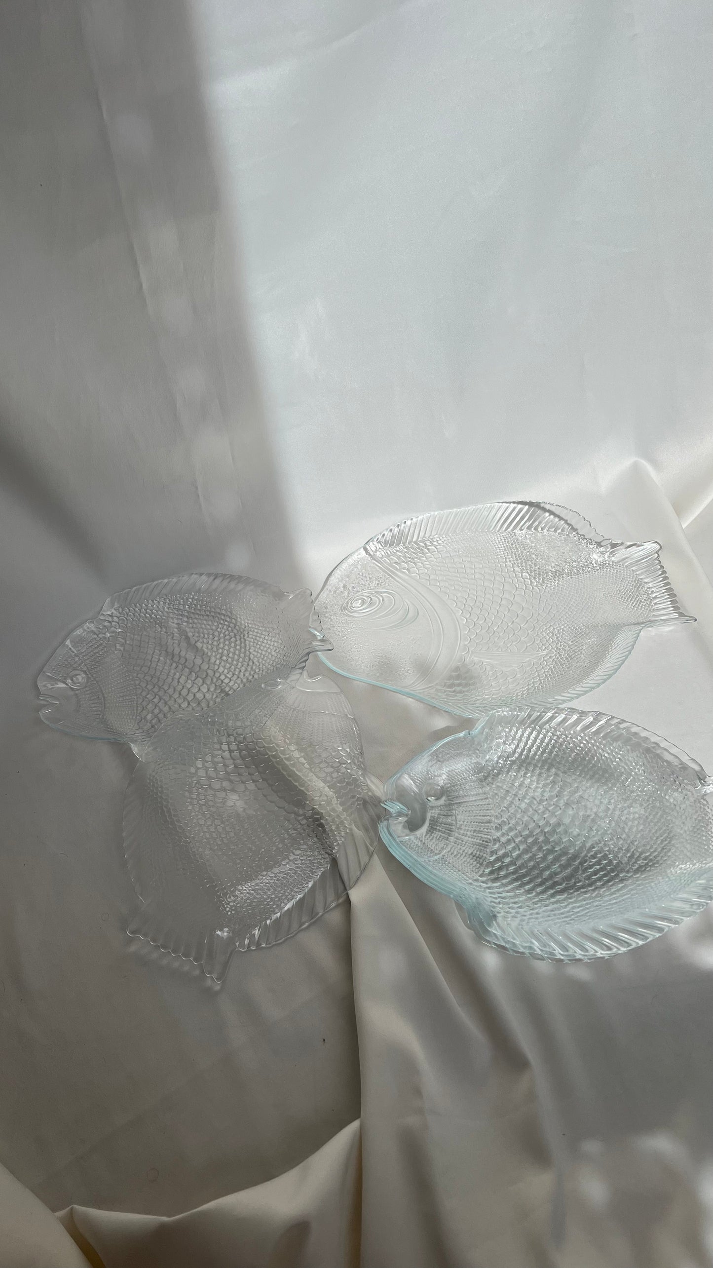 Main plates | צלחות עיקריות