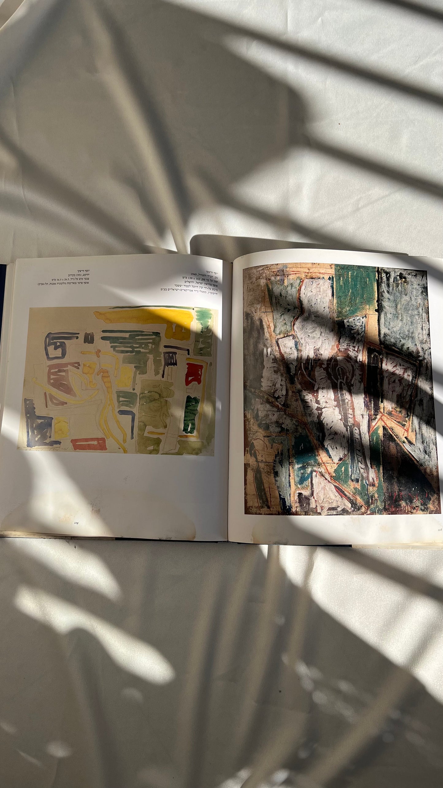 Israeli art book | ספר אמנות ישראלי