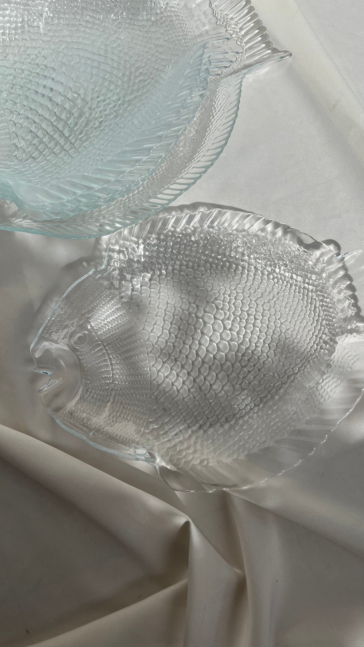 Main plates | צלחות עיקריות