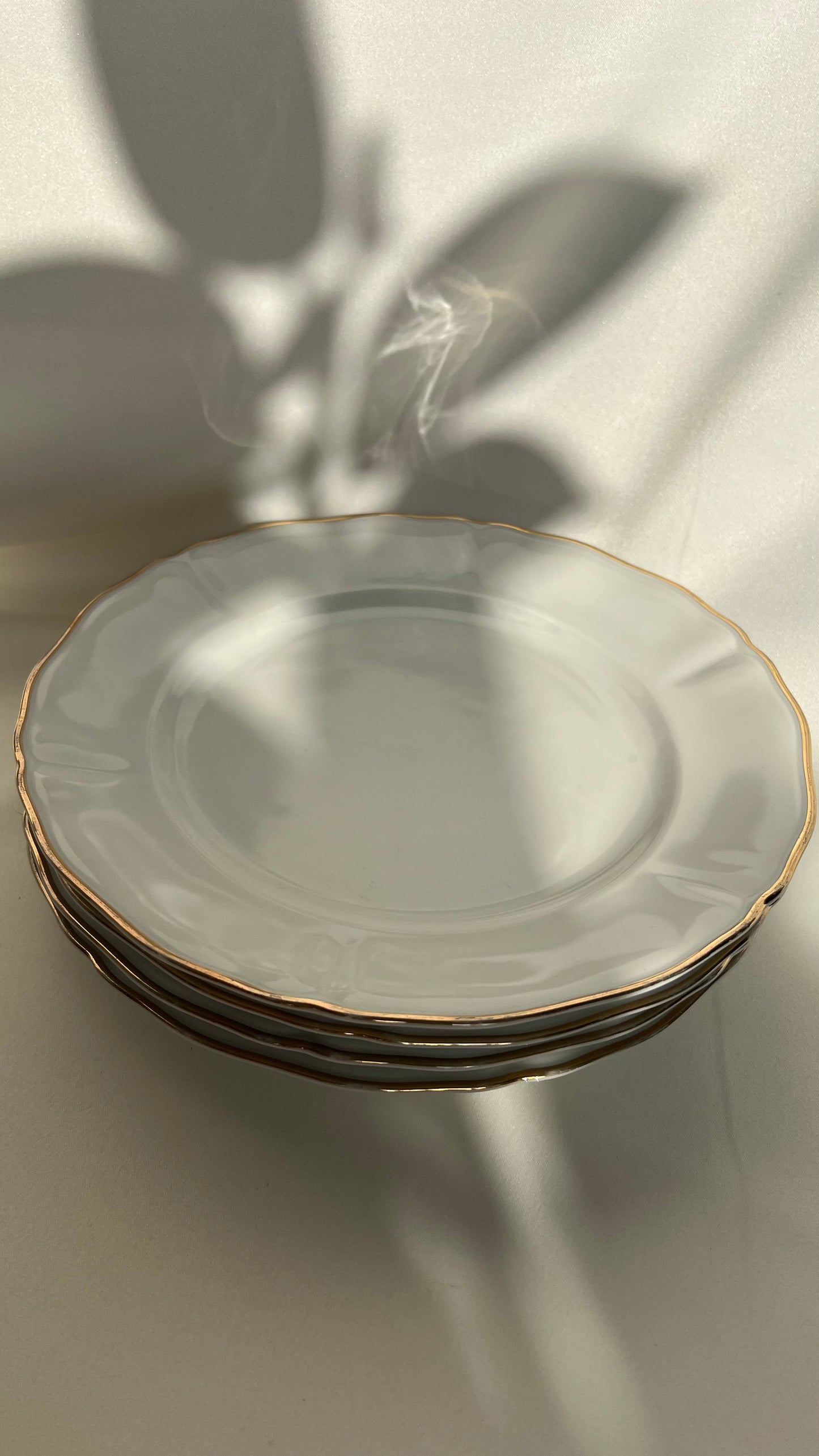 German plates | צלחות גרמניות