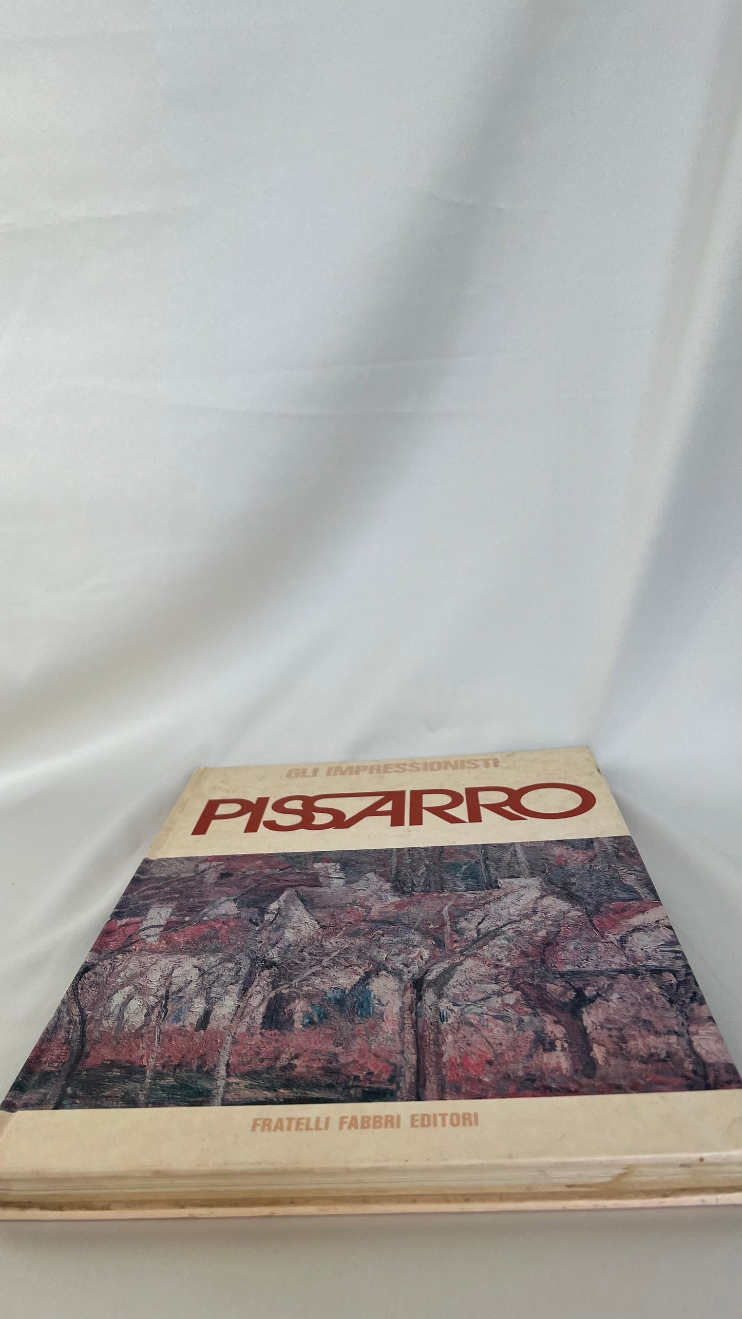 Book art | ספר אמנות קאמי פיסארו