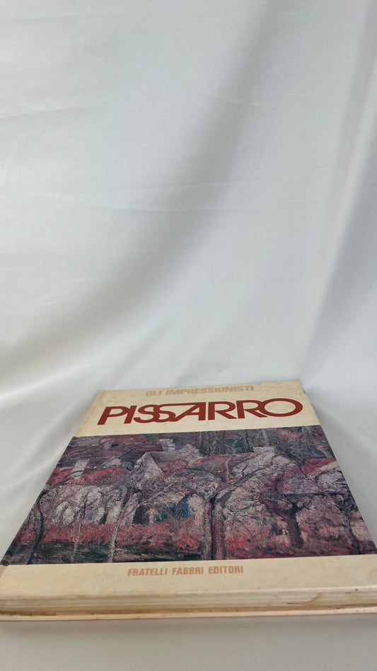 Book art | ספר אמנות קאמי פיסארו