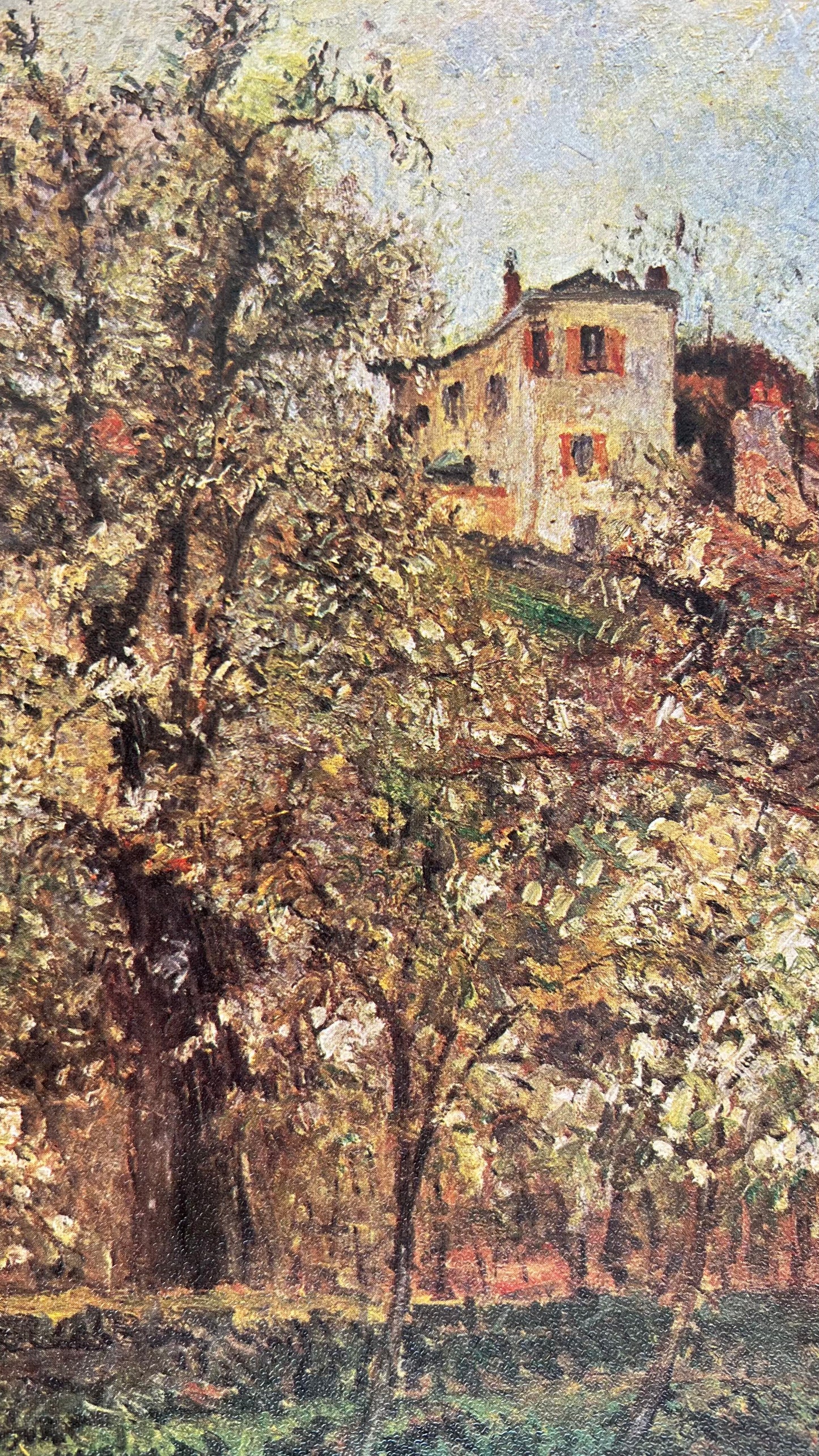 Book art | ספר אמנות קאמי פיסארו