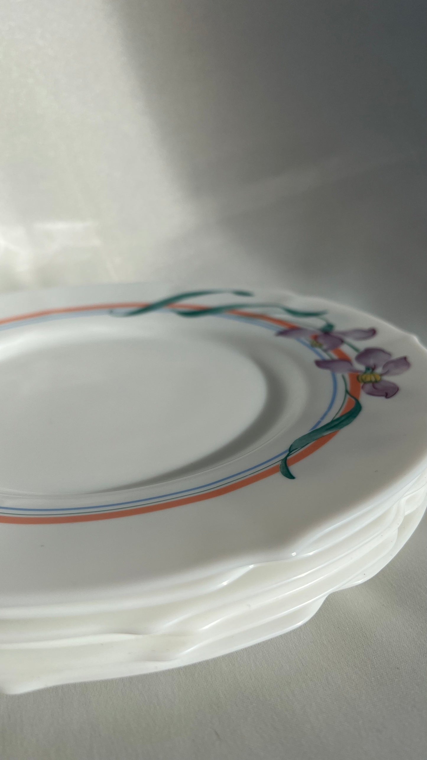 Arcopel Plates | צלחות ארקופל