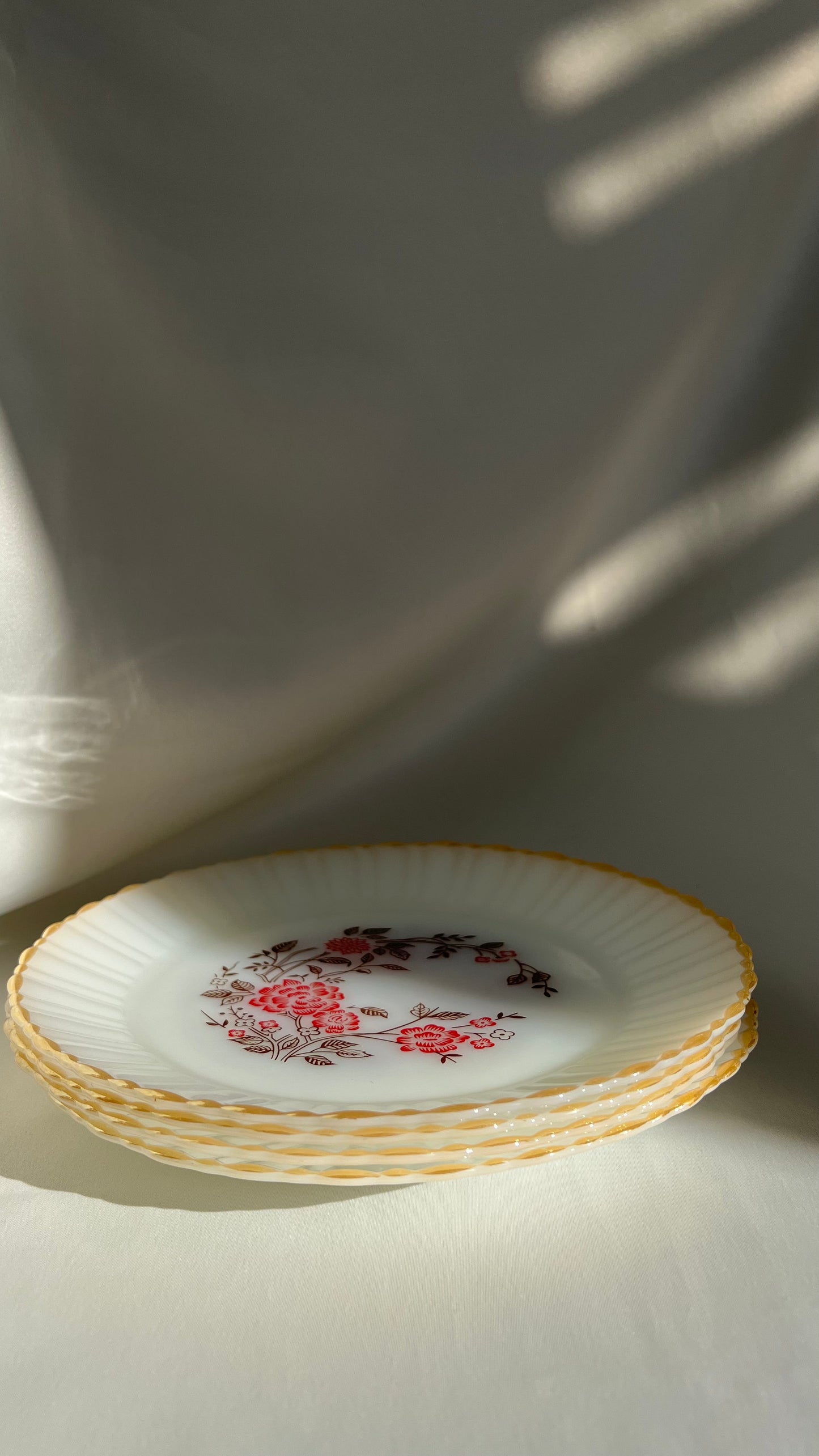 Mexican plates | צלחות מקסיקניות