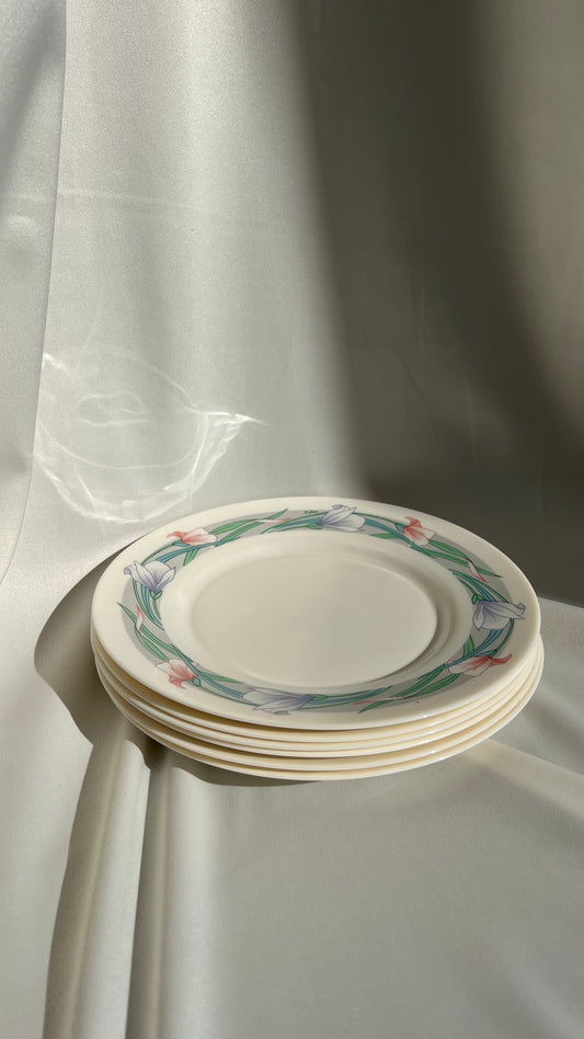 French plates | צלחות צרפתיות