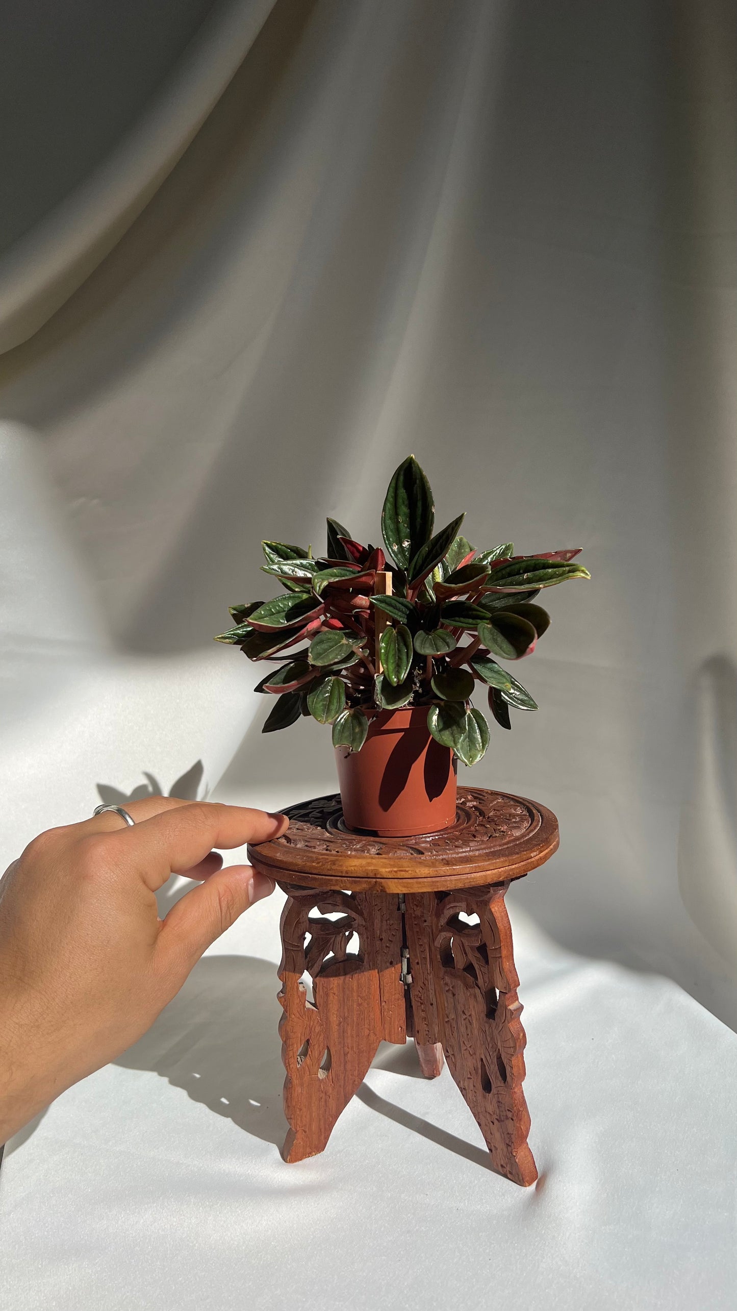 Small Wooden Stool | שרפרף עץ קטן