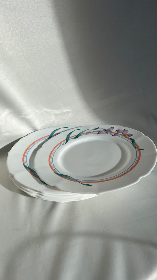 Arcopel Plates | צלחות ארקופל